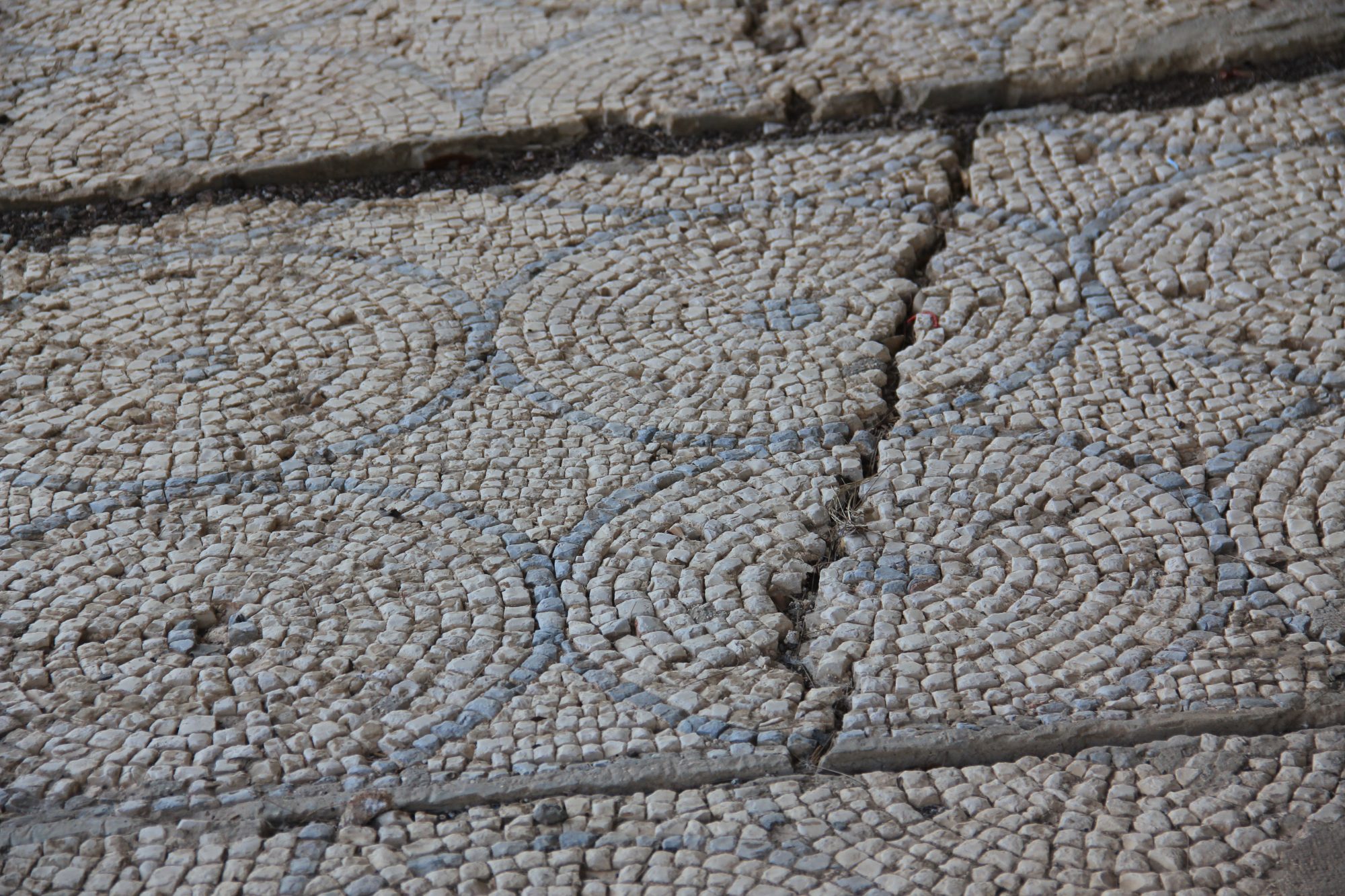 Capharnaum 48